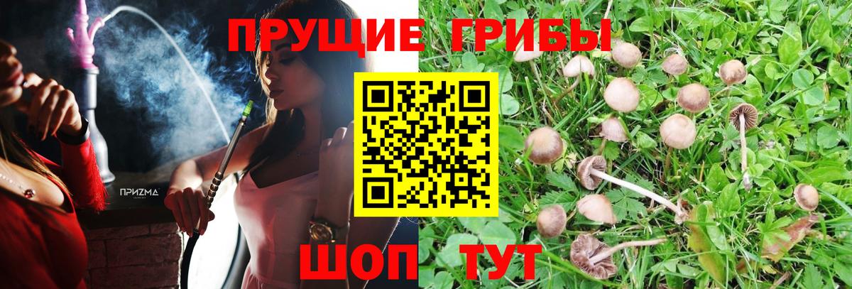 Люберцы  Галлюциногенные грибы MAGIC MUSHROOMS  Вход с VPN 